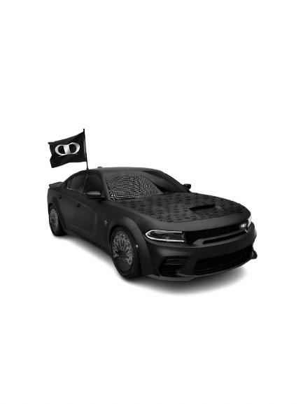 AMBLM SRT